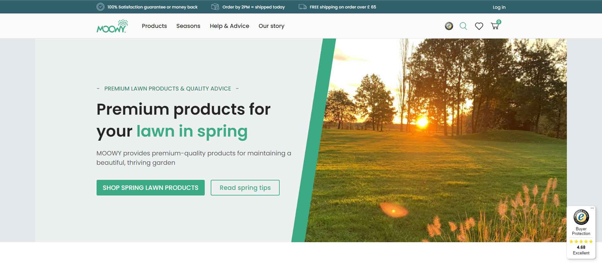 Moowy Official Website: UK Digital Marketing Agency