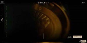 Bulie: Famous Dutch Watch Brand Official Website