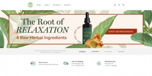 Global Healing: American Health Care Brand Official