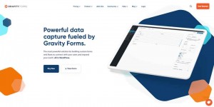 Gravity Forms: American Online Form Creation Tool Brand Official Website