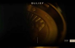 Bulie: Famous Dutch Watch Brand Official Website