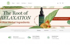 Global Healing: American Health Care Brand Official